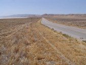 Enlarge photo 41