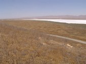 Enlarge photo 57
