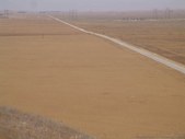 Enlarge photo 66