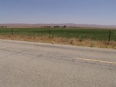 Enlarge photo 71