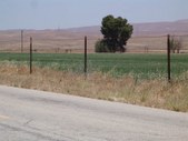 Enlarge photo 79