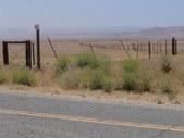 Enlarge photo 37