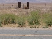 Enlarge photo 41