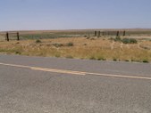 Enlarge photo 50