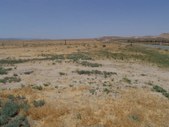Enlarge photo 57