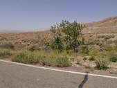 Enlarge photo 67