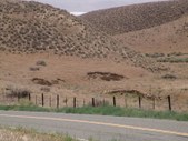 Enlarge photo 82