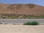 Enlarge photo 91