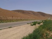 Enlarge photo 92