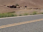 Enlarge photo 93