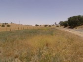 Enlarge photo 109