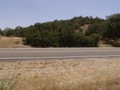 Enlarge photo 111