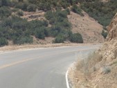 Enlarge photo 119