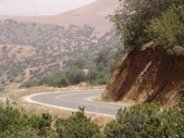 Enlarge photo 120
