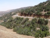 Enlarge photo 122