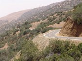 Enlarge photo 125
