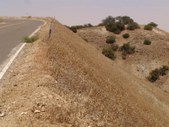 Enlarge photo 126