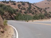Enlarge photo 135