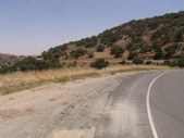 Enlarge photo 137
