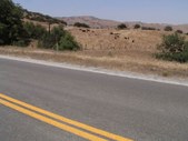 Enlarge photo 146