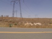 Enlarge photo 172
