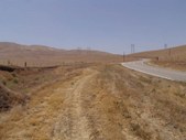 Enlarge photo 181
