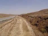 Enlarge photo 184