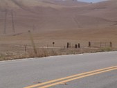 Enlarge photo 188
