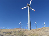 Enlarge photo 33
