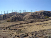 Enlarge photo 37