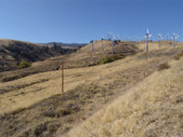 Enlarge photo 38