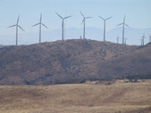 Enlarge photo 41