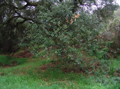 Enlarge photo 20