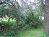 Enlarge photo 21