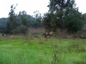 Enlarge photo 26