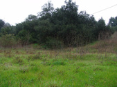 Enlarge photo 28