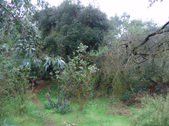 Enlarge photo 29