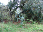 Enlarge photo 30