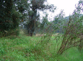 Enlarge photo 33