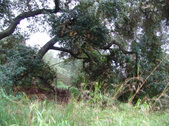 Enlarge photo 34