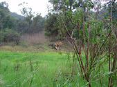 Enlarge photo 35