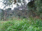 Enlarge photo 36
