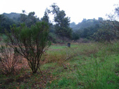 Enlarge photo 37