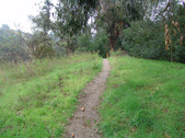 Enlarge photo 38