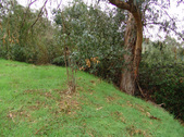 Enlarge photo 39