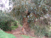 Enlarge photo 40