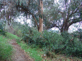 Enlarge photo 41