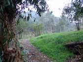 Enlarge photo 42