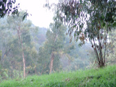 Enlarge photo 43