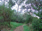 Enlarge photo 44